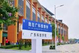 校园掠影2.jpg